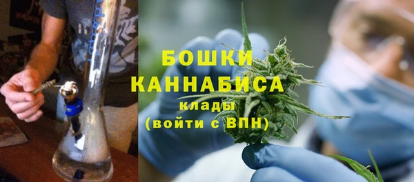 мет Няндома
