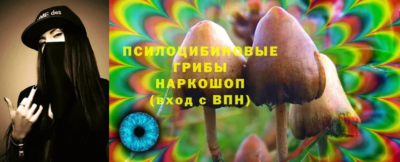 закладка  Мамадыш  Псилоцибиновые грибы MAGIC MUSHROOMS 